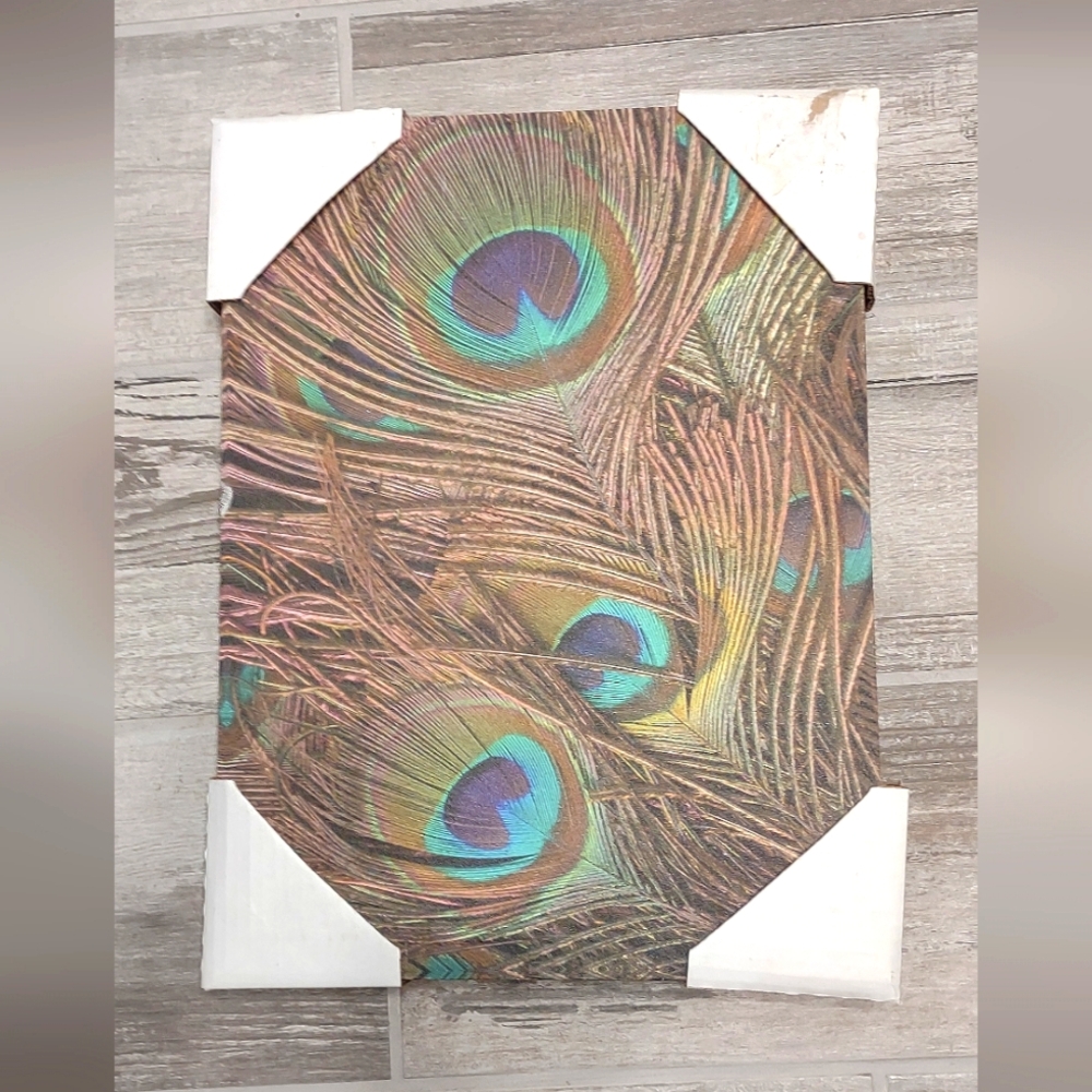 Peacock Feather Canvas Art 12x16